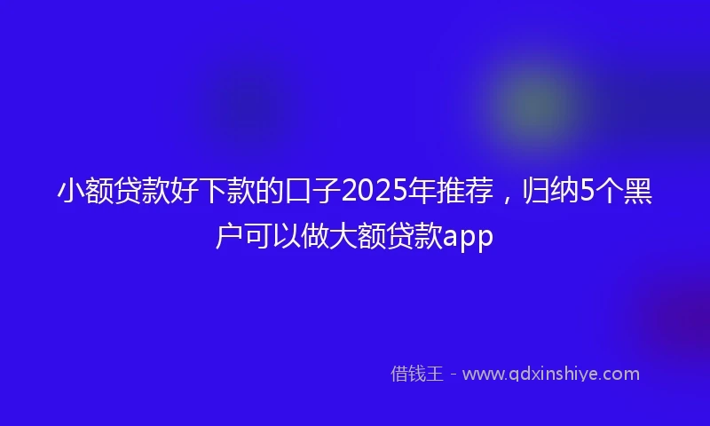 小额贷款好下款的口子2025年推荐，归纳5个黑户可以做大额贷款app