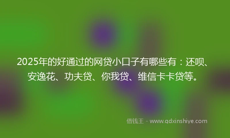2025年的好通过的网贷小口子有哪些有：还呗、安逸花、功夫贷、你我贷、维信卡卡贷等。