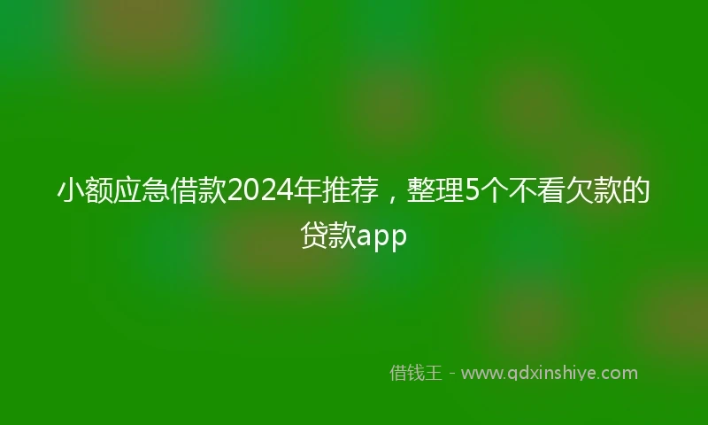小额应急借款2024年推荐，整理5个不看欠款的贷款app