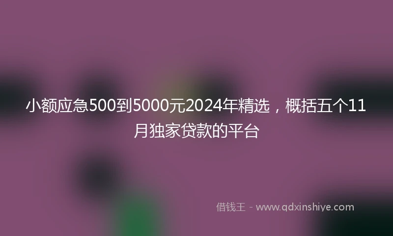 小额应急500到5000元2024年精选，概括五个11月独家贷款的平台