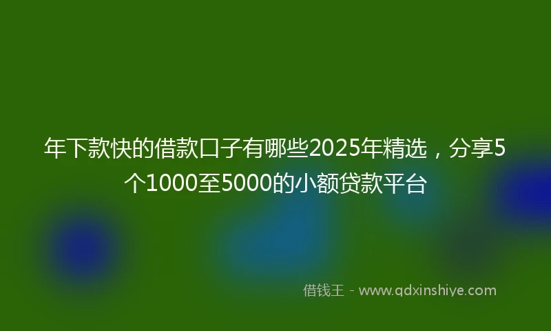 年下款快的借款口子有哪些2025年精选，分享5个1000至5000的小额贷款平台