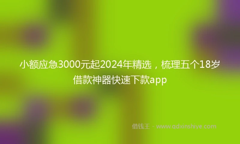 小额应急3000元起2024年精选，梳理五个18岁借款神器快速下款app