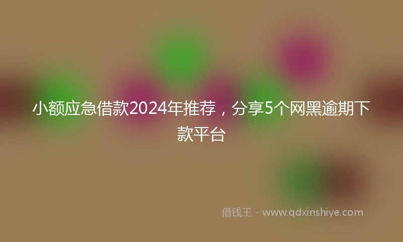 小额应急借款2024年推荐，分享5个网黑逾期下款平台