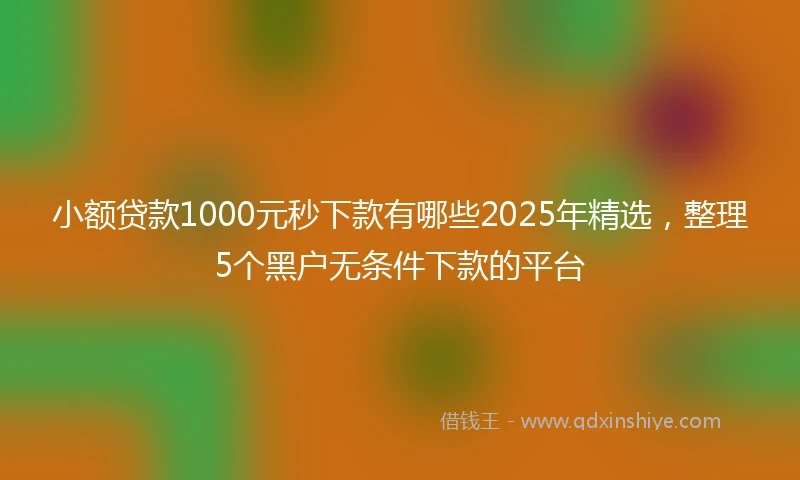 小额贷款1000元秒下款有哪些2025年精选，整理5个黑户无条件下款的平台