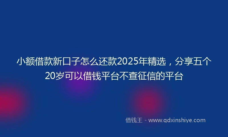 小额借款新口子怎么还款2025年精选，分享五个20岁可以借钱平台不查征信的平台