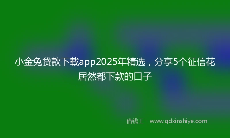 小金兔贷款下载app2025年精选，分享5个征信花居然都下款的口子