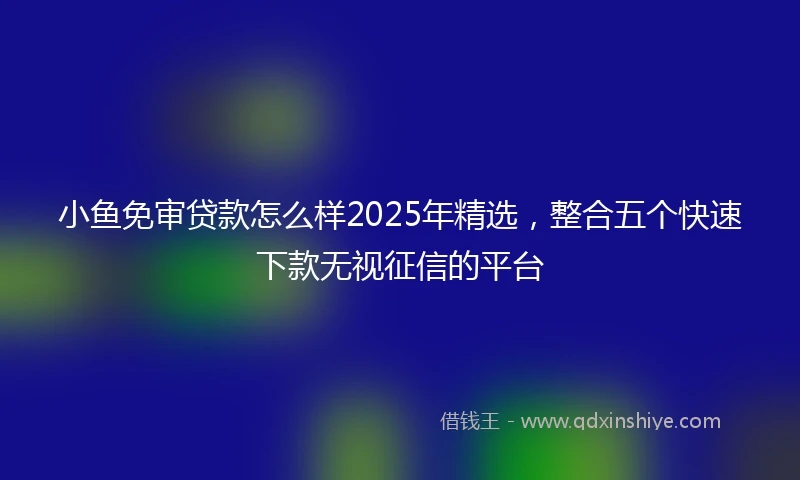 小鱼免审贷款怎么样2025年精选，整合五个快速下款无视征信的平台