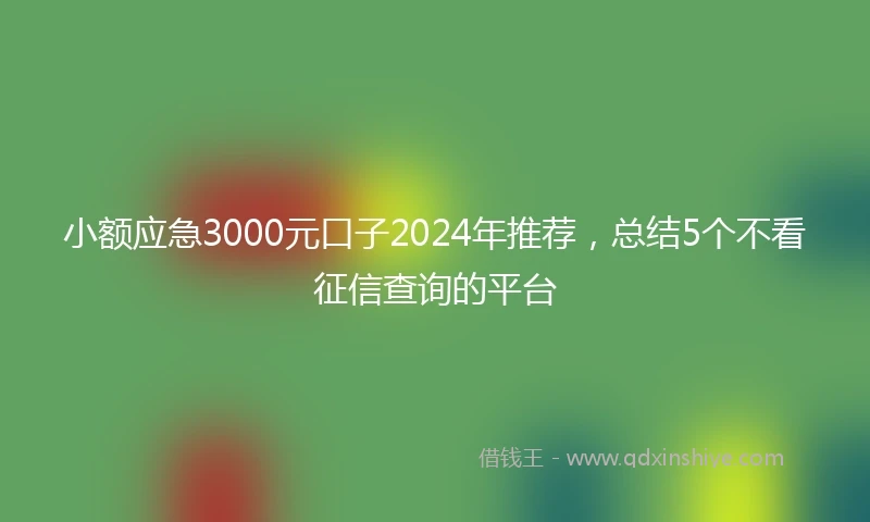 小额应急3000元口子2024年推荐，总结5个不看征信查询的平台