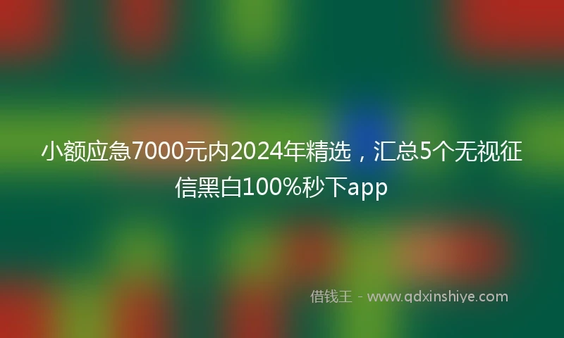 小额应急7000元内2024年精选，汇总5个无视征信黑白100%秒下app