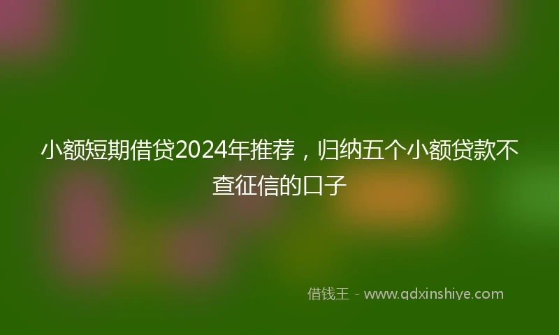小额短期借贷2024年推荐，归纳五个小额贷款不查征信的口子