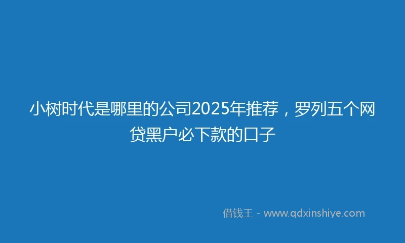 小树时代是哪里的公司2025年推荐，罗列五个网贷黑户必下款的口子