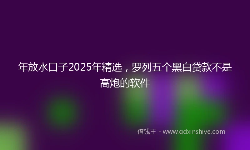 年放水口子2025年精选，罗列五个黑白贷款不是高炮的软件