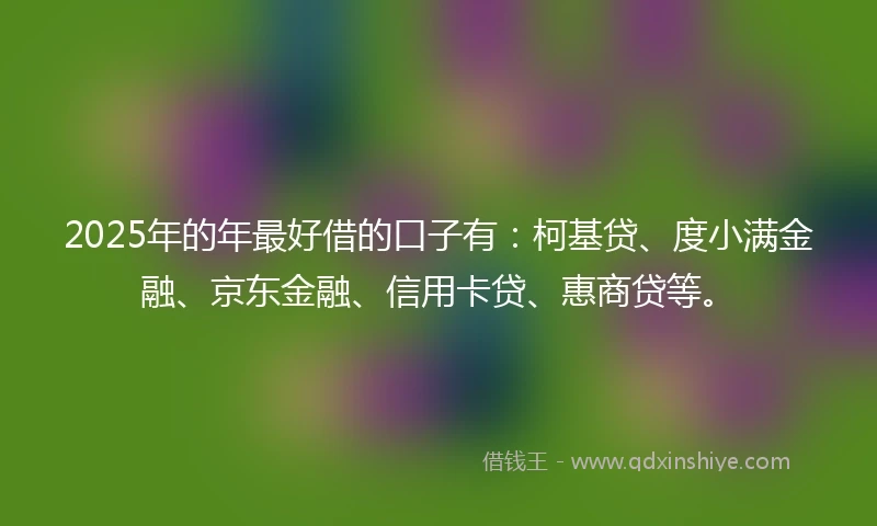 2025年的年最好借的口子有：柯基贷、度小满金融、京东金融、信用卡贷、惠商贷等。