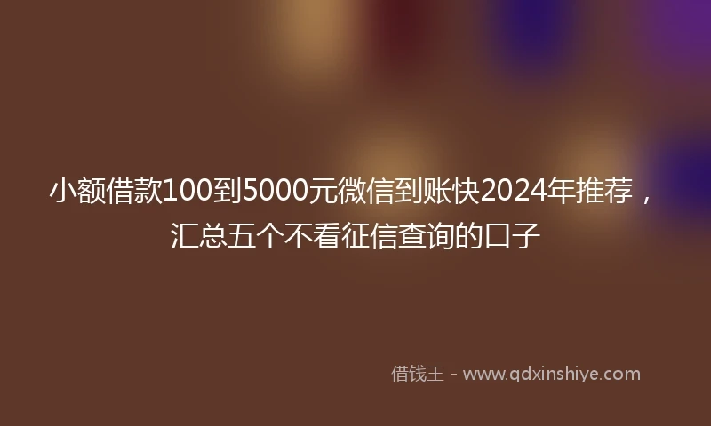 小额借款100到5000元微信到账快2024年推荐，汇总五个不看征信查询的口子