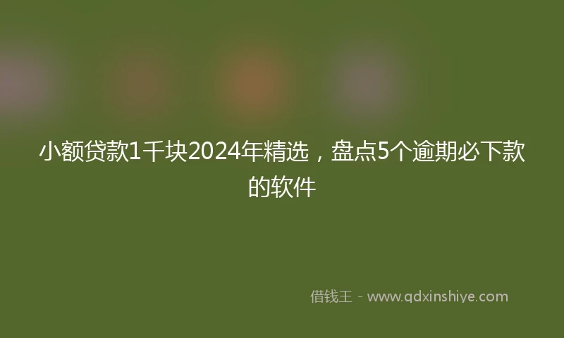 小额贷款1千块2024年精选，盘点5个逾期必下款的软件