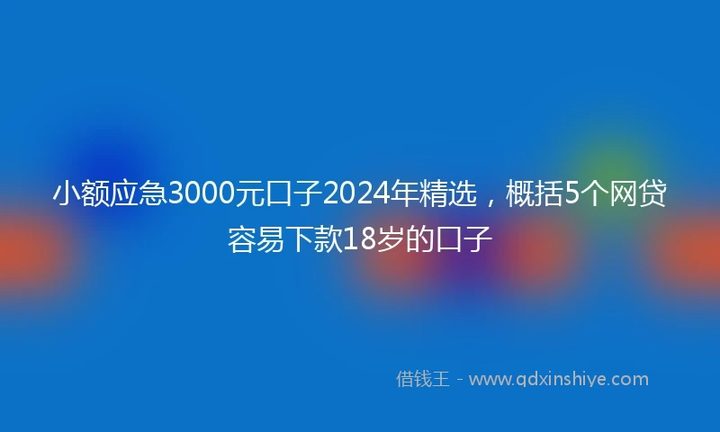 小额应急3000元口子2024年精选，概括5个网贷容易下款18岁的口子