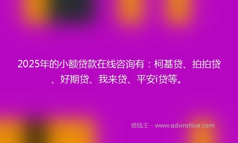 2025年的小额贷款在线咨询有：柯基贷、拍拍贷、好期贷、我来贷、平安i贷等。