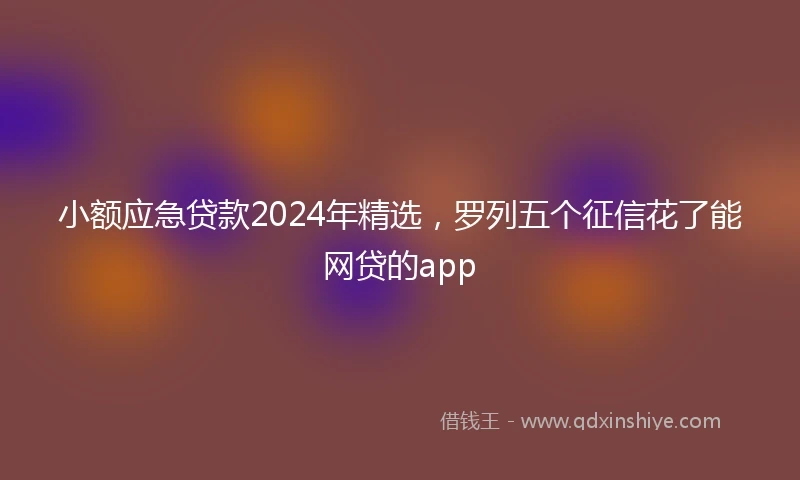 小额应急贷款2024年精选，罗列五个征信花了能网贷的app