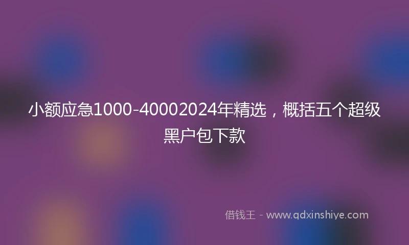 小额应急1000-40002024年精选，概括五个超级黑户包下款