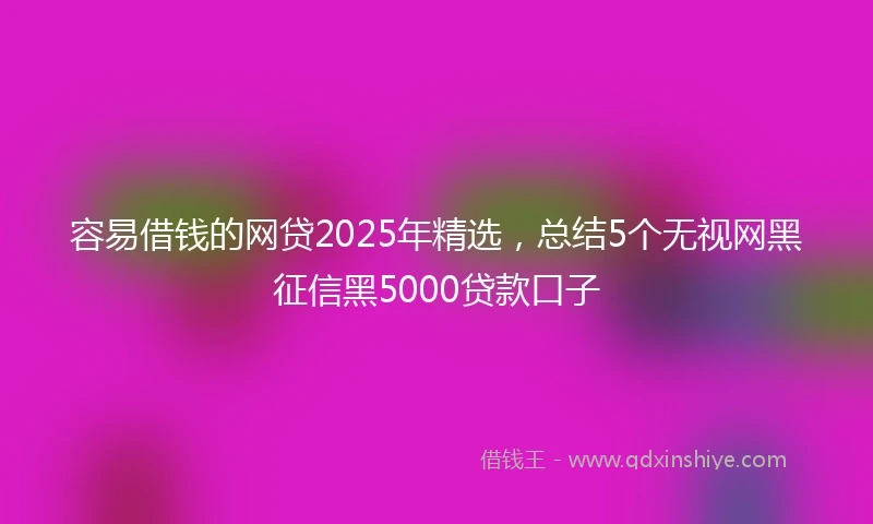 容易借钱的网贷2025年精选，总结5个无视网黑征信黑5000贷款口子