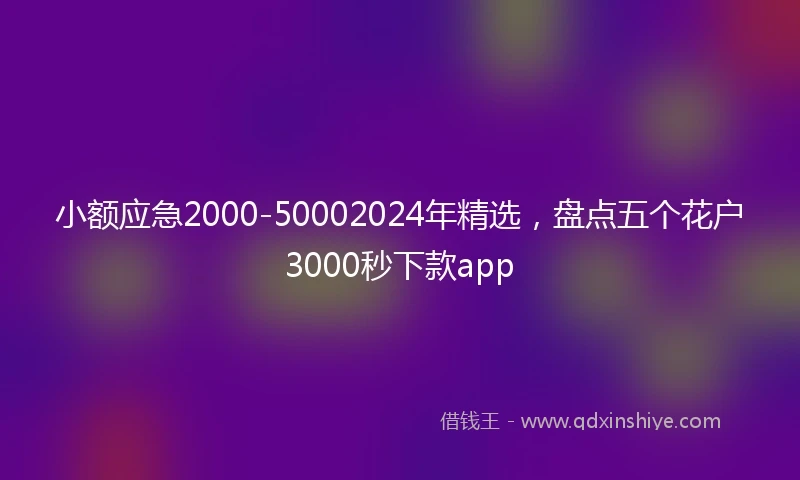 小额应急2000-50002024年精选，盘点五个花户3000秒下款app