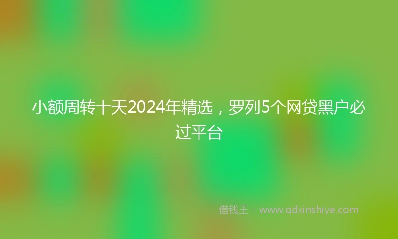小额周转十天2024年精选，罗列5个网贷黑户必过平台