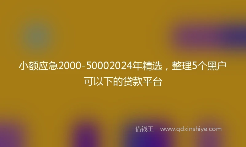 小额应急2000-50002024年精选，整理5个黑户可以下的贷款平台