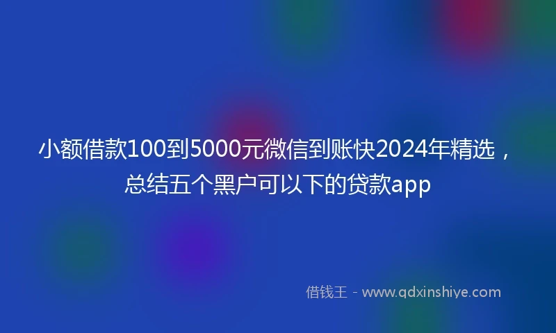 小额借款100到5000元微信到账快2024年精选，总结五个黑户可以下的贷款app