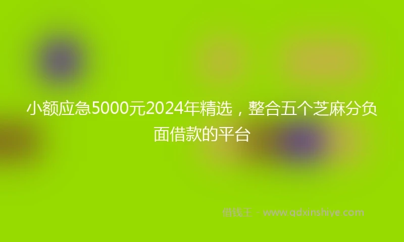 小额应急5000元2024年精选，整合五个芝麻分负面借款的平台