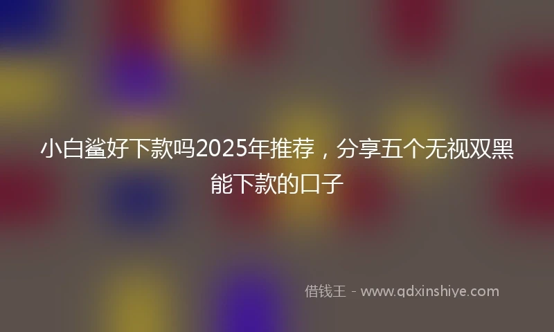 小白鲨好下款吗2025年推荐，分享五个无视双黑能下款的口子