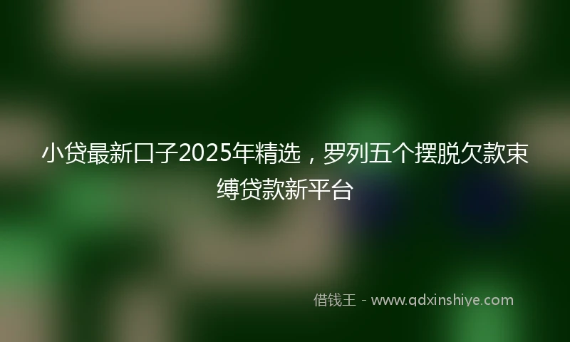 小贷最新口子2025年精选，罗列五个摆脱欠款束缚贷款新平台