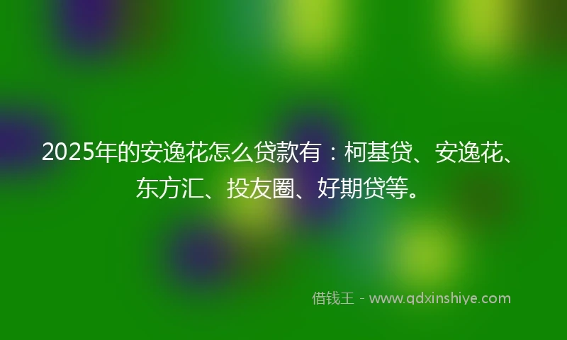 2025年的安逸花怎么贷款有：柯基贷、安逸花、东方汇、投友圈、好期贷等。