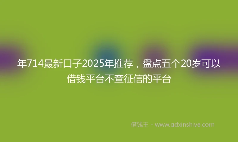 年714最新口子2025年推荐，盘点五个20岁可以借钱平台不查征信的平台
