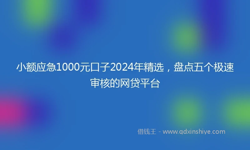 小额应急1000元口子2024年精选，盘点五个极速审核的网贷平台
