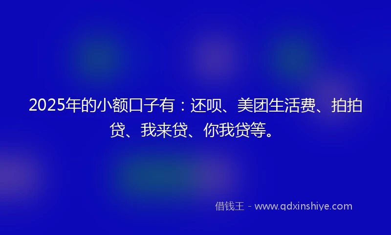 2025年的小额口子有：还呗、美团生活费、拍拍贷、我来贷、你我贷等。