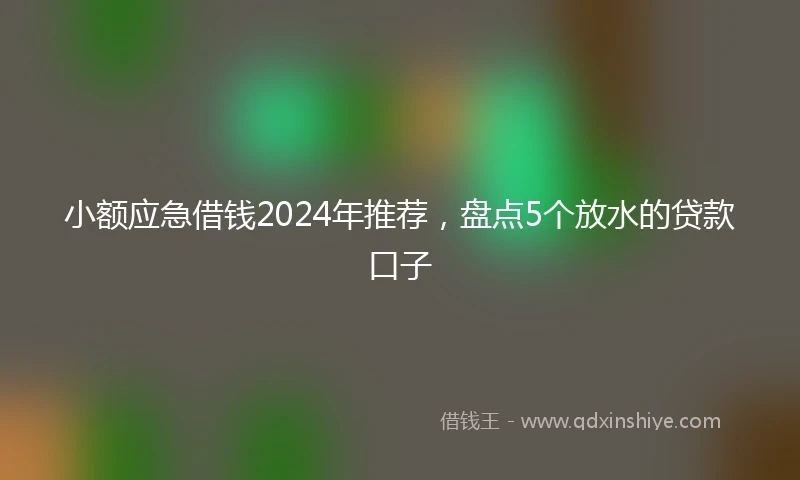 小额应急借钱2024年推荐，盘点5个放水的贷款口子