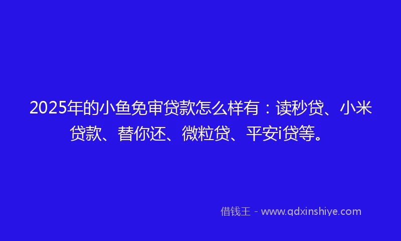 2025年的小鱼免审贷款怎么样有:读秒贷、小米贷款、替你还、微粒贷、平安i贷等。