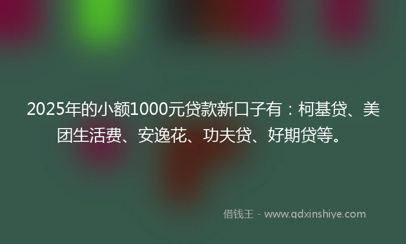 2025年的小额1000元贷款新口子有：柯基贷、美团生活费、安逸花、功夫贷、好期贷等。