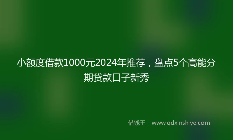 小额度借款1000元2024年推荐，盘点5个高能分期贷款口子新秀