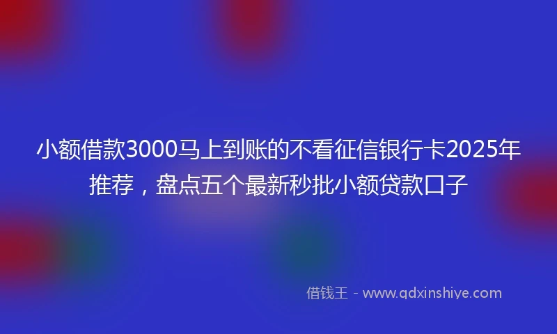 小额借款3000马上到账的不看征信银行卡2025年推荐，盘点五个最新秒批小额贷款口子