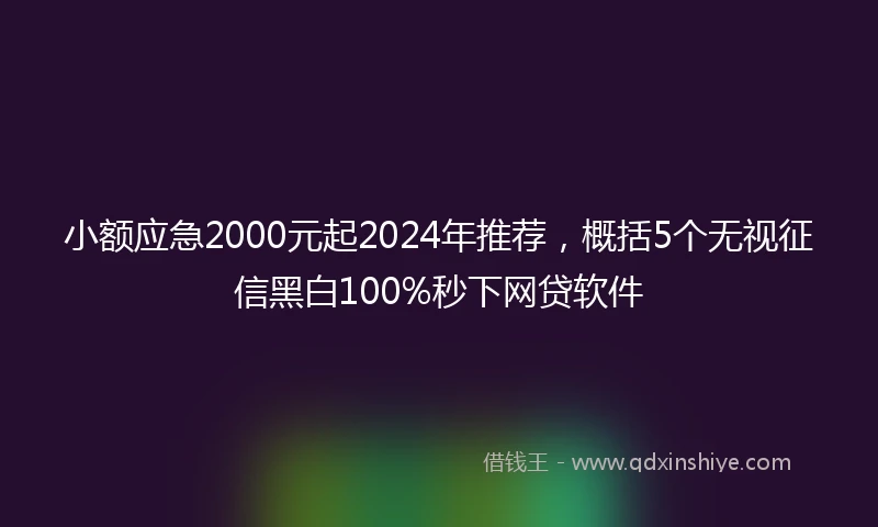 小额应急2000元起2024年推荐，概括5个无视征信黑白100%秒下网贷软件