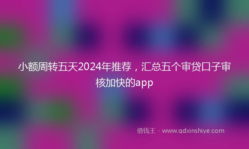 小额周转五天2024年推荐，汇总五个审贷口子审核加快的app