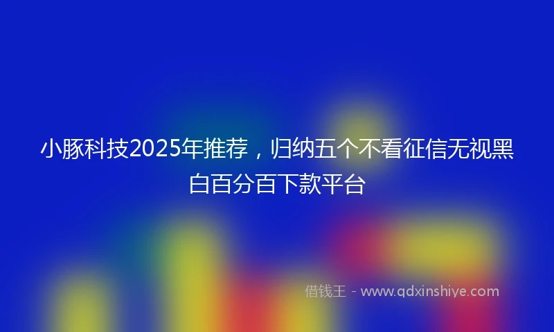 小豚科技2025年推荐，归纳五个不看征信无视黑白百分百下款平台