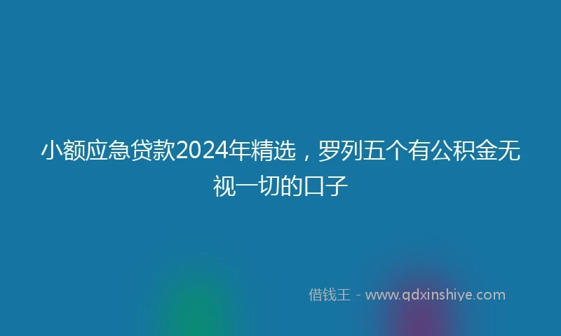 小额应急贷款2024年精选，罗列五个有公积金无视一切的口子
