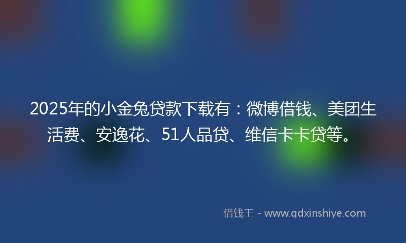 2025年的小金兔贷款下载有：微博借钱、美团生活费、安逸花、51人品贷、维信卡卡贷等。