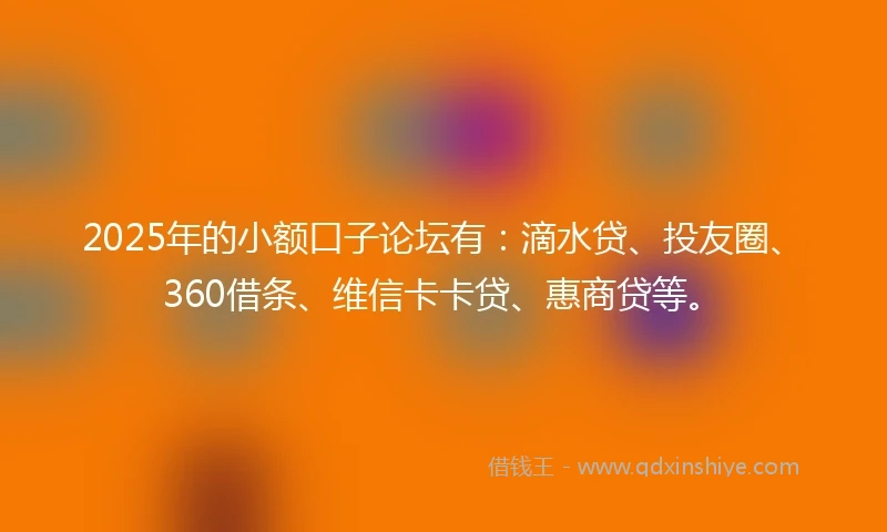 2025年的小额口子论坛有：滴水贷、投友圈、360借条、维信卡卡贷、惠商贷等。
