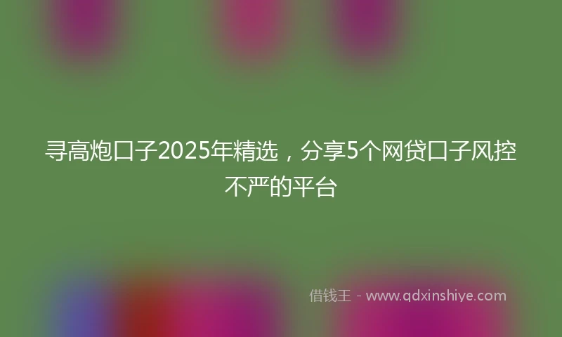 寻高炮口子2025年精选，分享5个网贷口子风控不严的平台