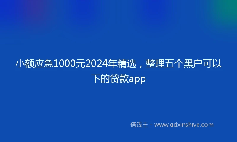小额应急1000元2024年精选，整理五个黑户可以下的贷款app