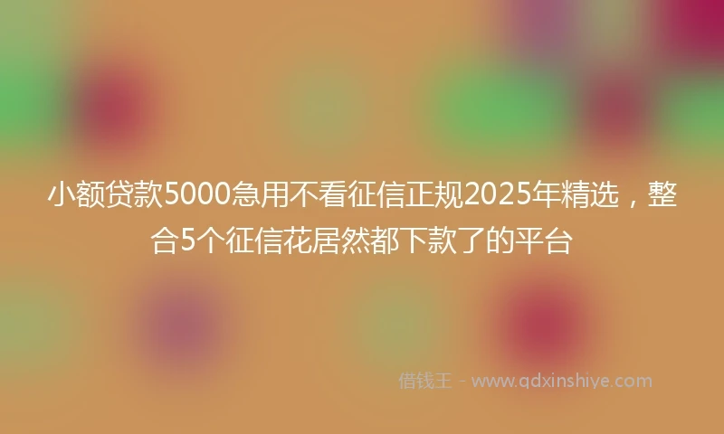 小额贷款5000急用不看征信正规2025年精选，整合5个征信花居然都下款了的平台