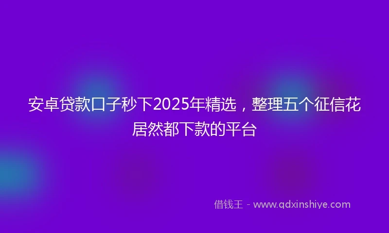 安卓贷款口子秒下2025年精选，整理五个征信花居然都下款的平台